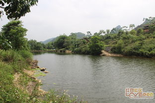 大新苗龙湾 一处丞待开发的旅游秘境