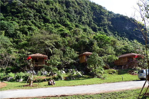 一业兴撬动百业旺 肇庆百日打造网红景区的文旅振兴密码